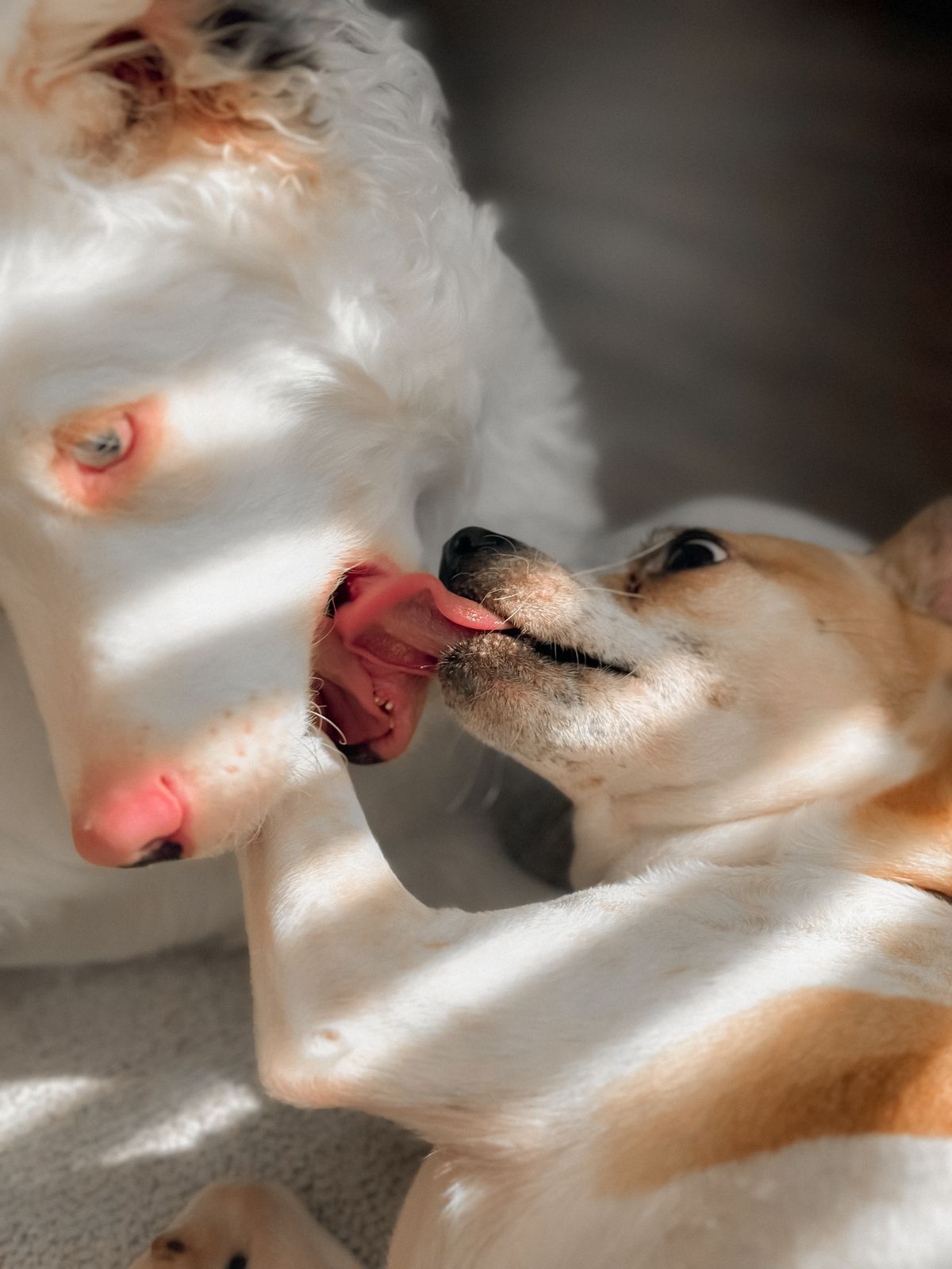 LickBliss Lick Mat