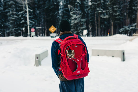 AstroPack Bubble Backpack