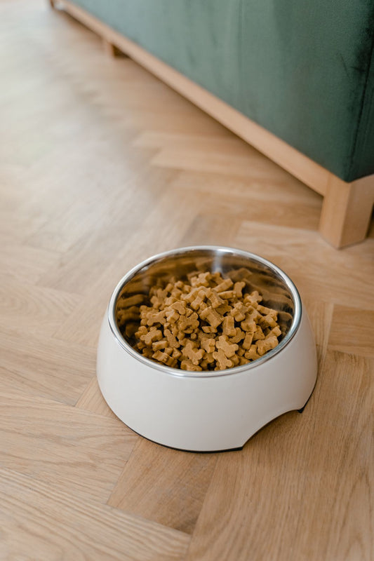 SlowSip Feeder Bowl