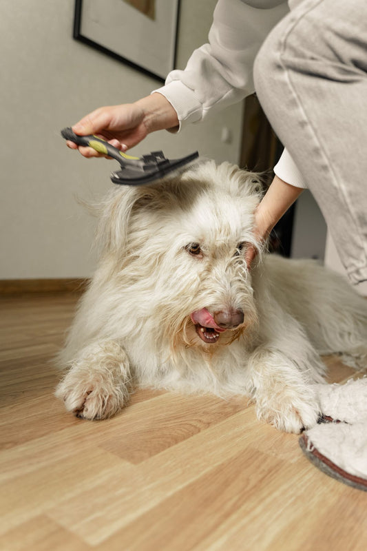 ShedEase Self-Clean Brush