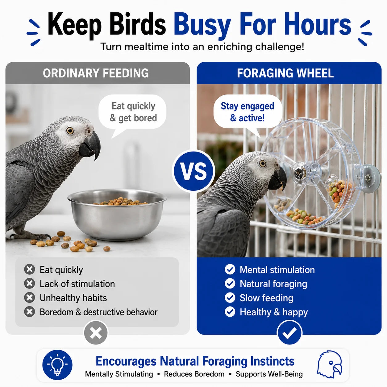 WingPlay Foraging Wheel