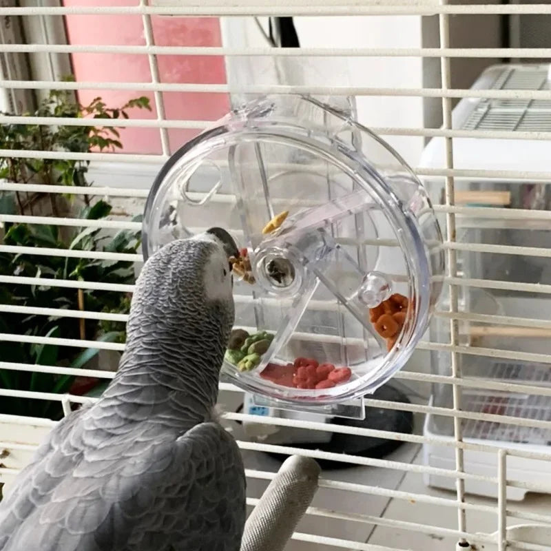 WingPlay Foraging Wheel