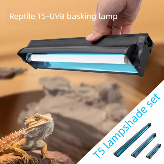 ReptiGlow UVB Kit