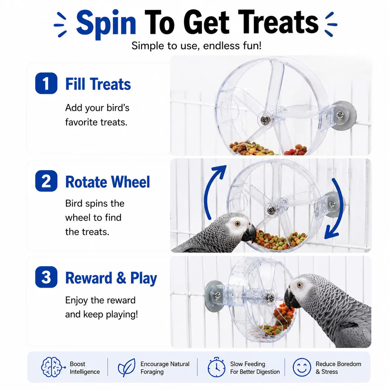 WingPlay Foraging Wheel