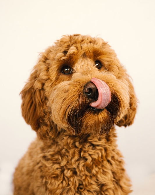 LickBliss Lick Mat