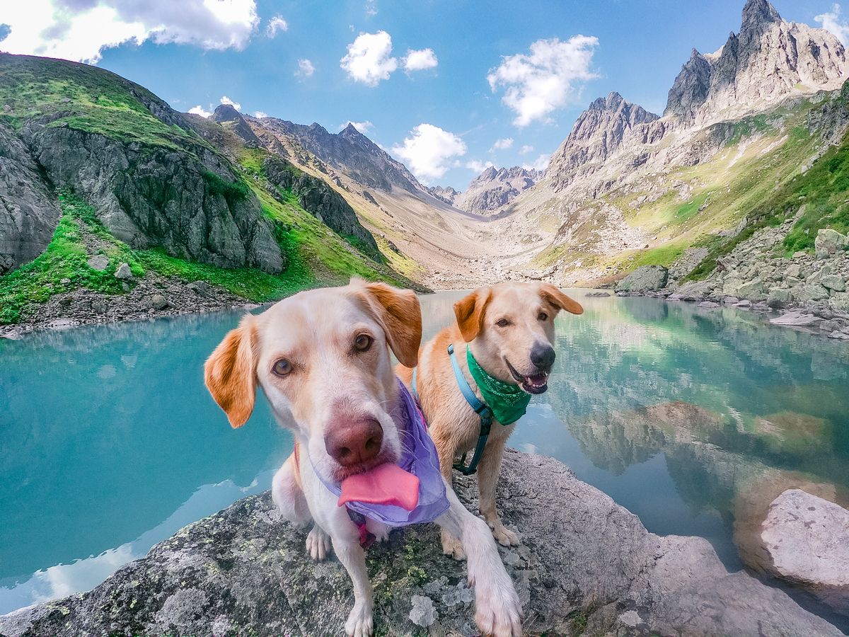 TrailSip Water Bottle