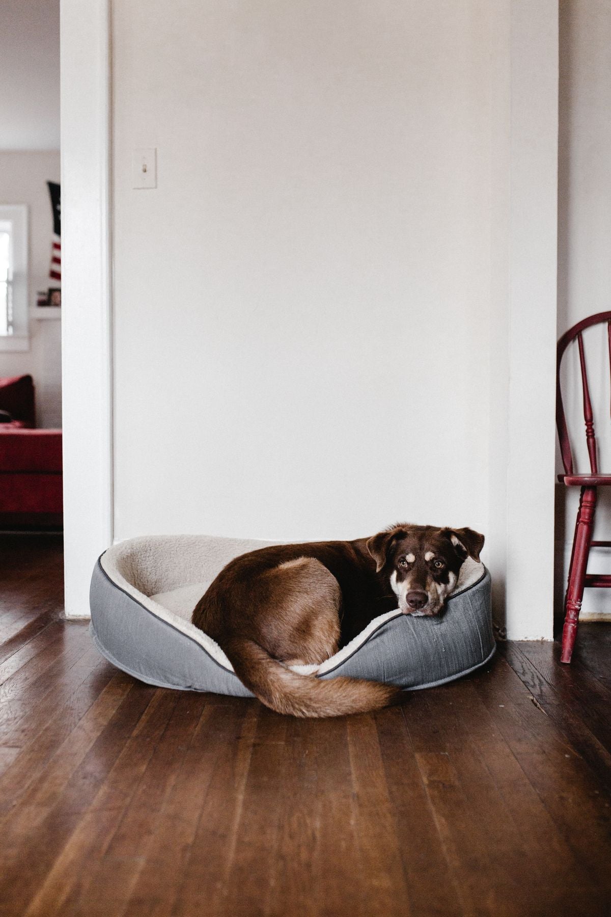 CloudRest Orthopedic Bed