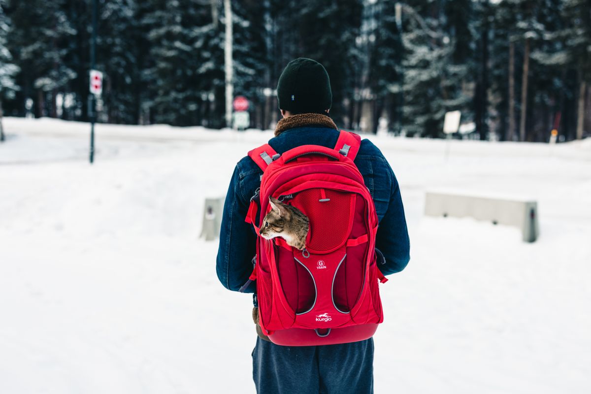 AstroPack Bubble Backpack