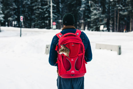 AstroPack Bubble Backpack