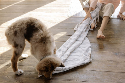 NosePeak Snuffle Mat