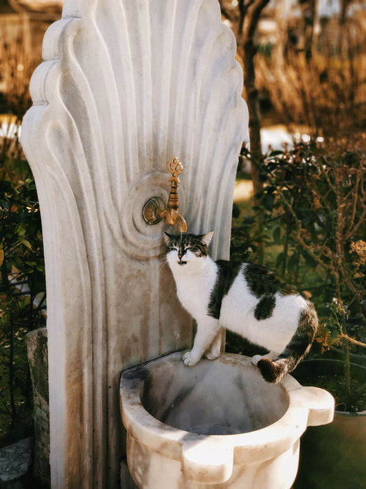 AquaVita UV Fountain