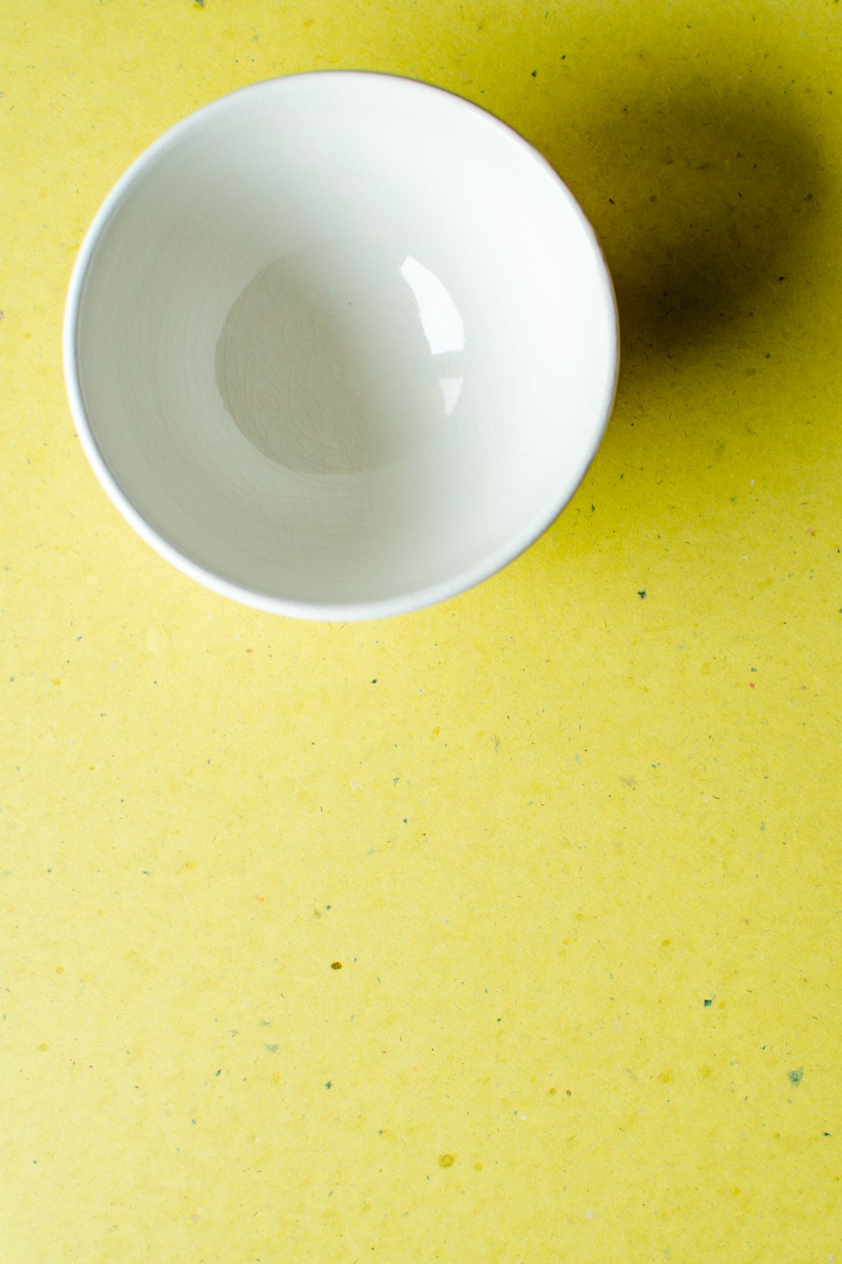 SlowSip Feeder Bowl