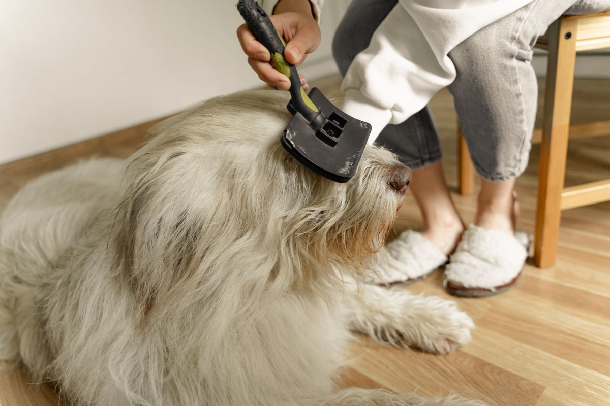 ShedEase Self-Clean Brush